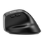 Ergonomic Mouse