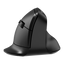Ergonomic Mouse